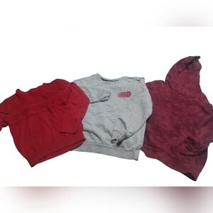 Kids Crewneck Sweatshirt - Grey with Pink Graphic